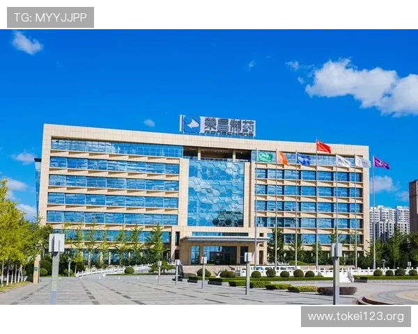 凯发集团官网首页安全保障措施与用户隐私保护政策解析